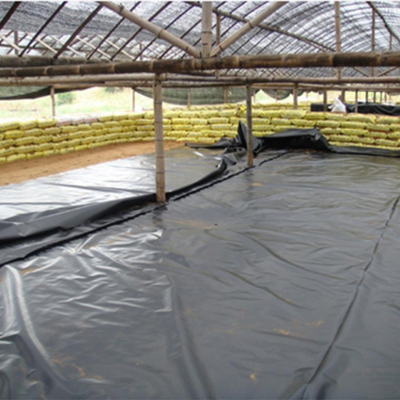 HDPE Geomembrane Liner for Fish Farming and Landscaping