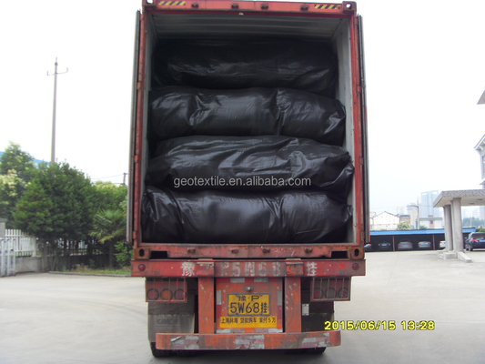PP Woven Geotextile Fabric for Separation Filtration Reinforcement