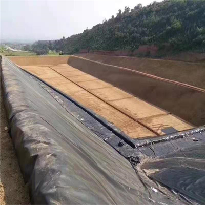 PP Woven Geotextile 300g/m2 for Landfill Filtration