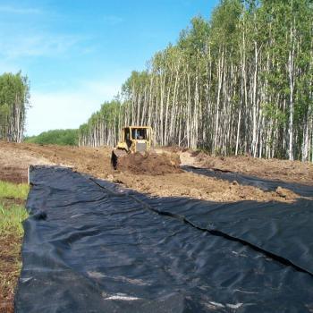 Road Construction PP Woven Geotextile Fabric for Reinforcement and Stabalization